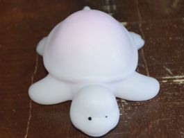 Leuchtschildkröte , leuchtet in versch. Farbe mit Batterie