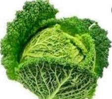 Ab 5.- fr !!! 20 Samen Mantuanischer Kohl “VERZA”‪