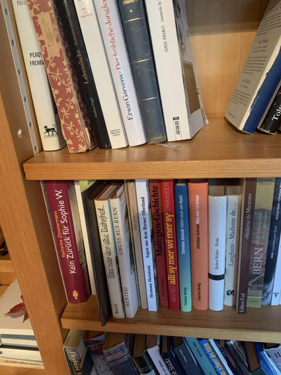 Libri: Lot Bücher mit Gestell – Usato da Murgenthal venduto da Padoni60 3