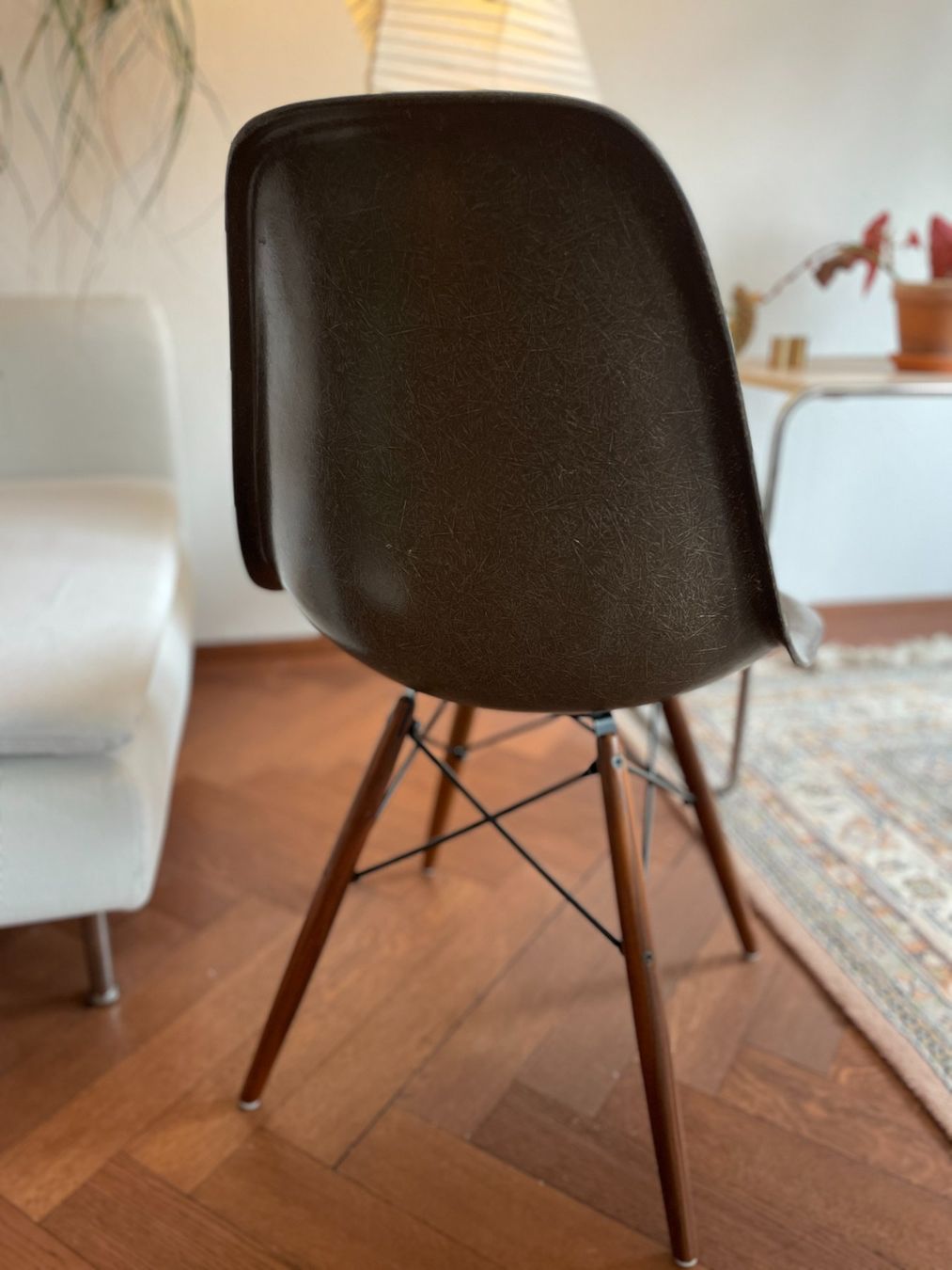 Eames Sedie: Eames Sidechair Seal brown – Usato da Bern venduto da metallbauer94 2