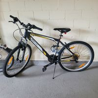 Mountainbike California Rush