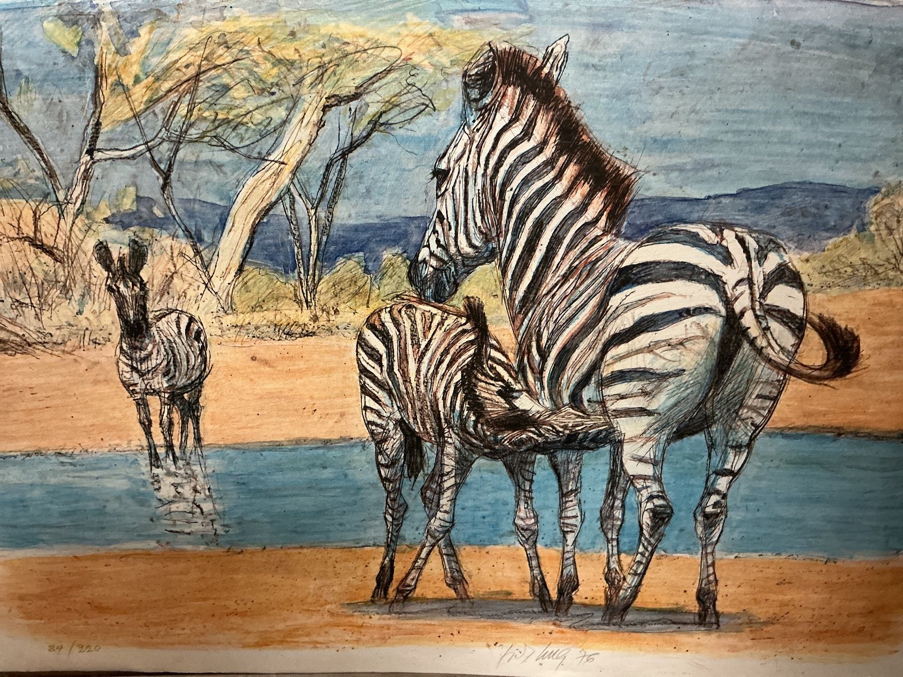 Grafica & Litografie: Zebras von Hug Litho – Usato da Bern venduto da vielerart 1