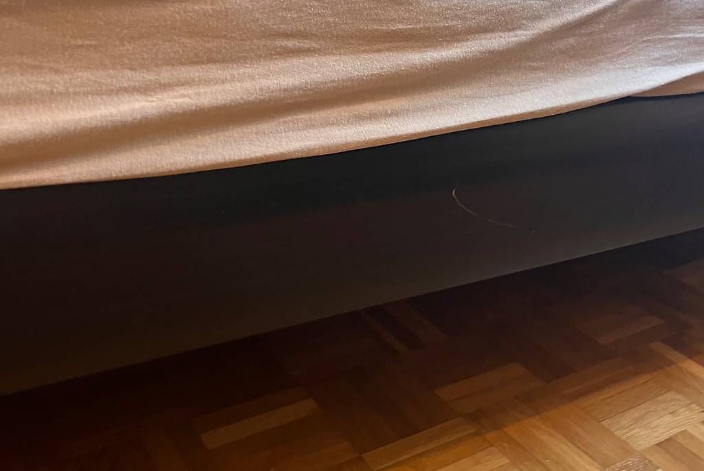 Letti: Bett 120cm – Usato da Büetigen venduto da sa__kas92 3