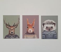 3 Postkarten - Igel - Hirsch - Eichhörnchen