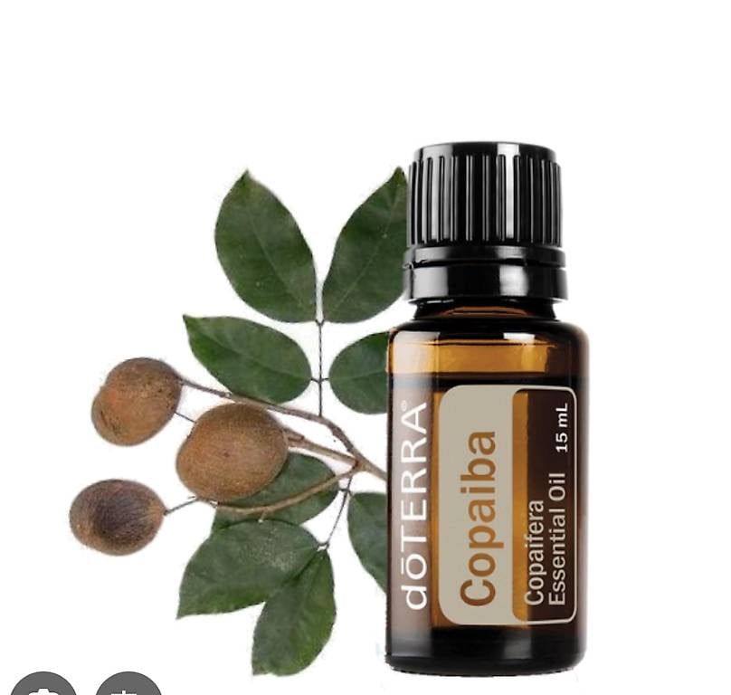 Oli essenziali: Copaíba olio essenziale doTERRA – Usato da Rivera venduto da pat_6nvw