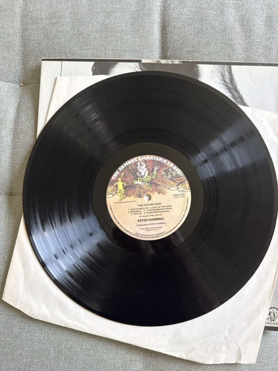 Dischi in vinile: Peter Hammill "The Future Now" 1978 Van der Graaf generator  – Usato da St-Légier-Chiésaz venduto da My_favorite_shop 7