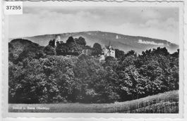 Schloss und Ruine Oberbipp