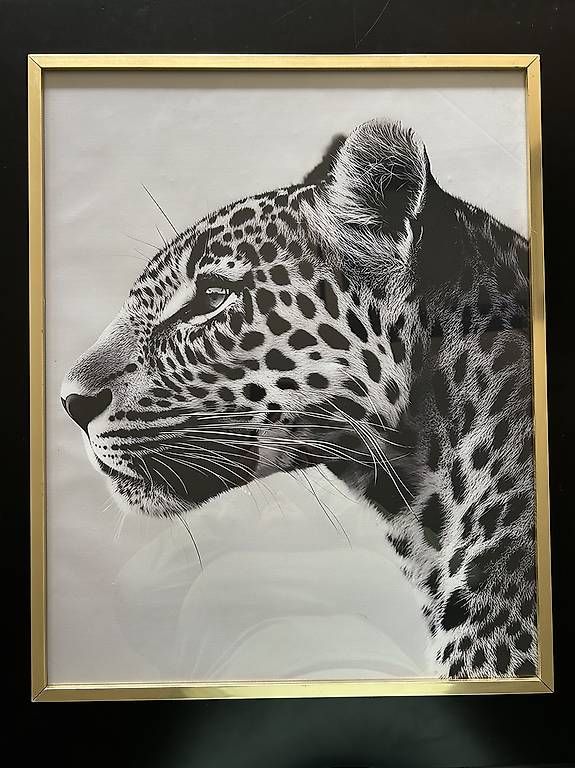 Posters & Illustrations: Panthera Pardus  – D'occasion à Oberweningen par gta_kl5b