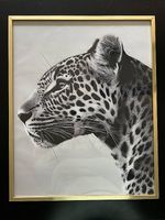 Panthera Pardus 