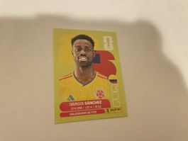 FIFA WM 2026 Davinson Sanchez COL 4