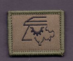 Infrastrukturtechniksoldat