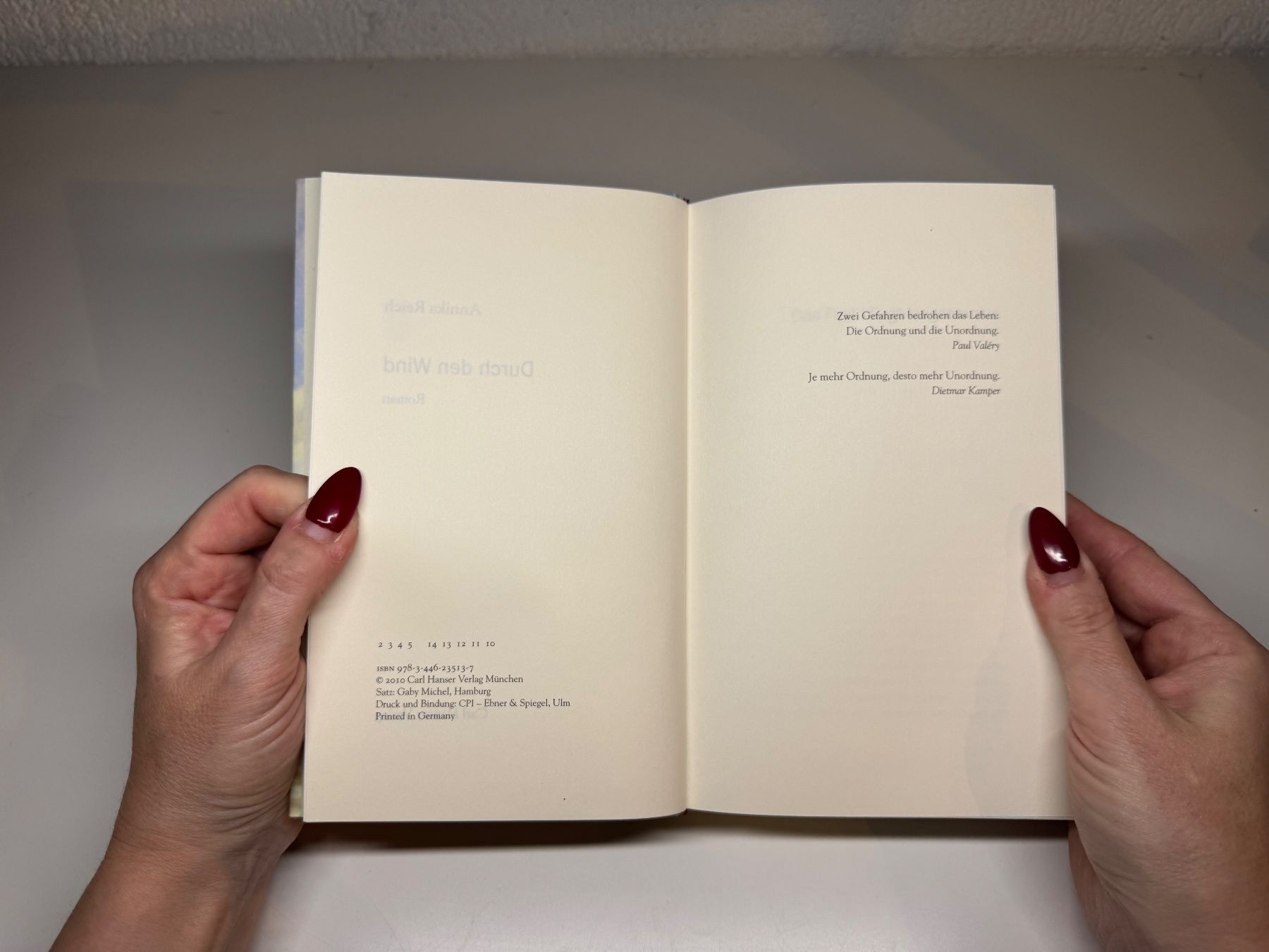 Libri: ROMAN: Annika Reich, Durch den Wind – Usato da Grosswangen venduto da Deutsche_Romane 3