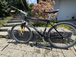 Specialized Stumpjumper comp
