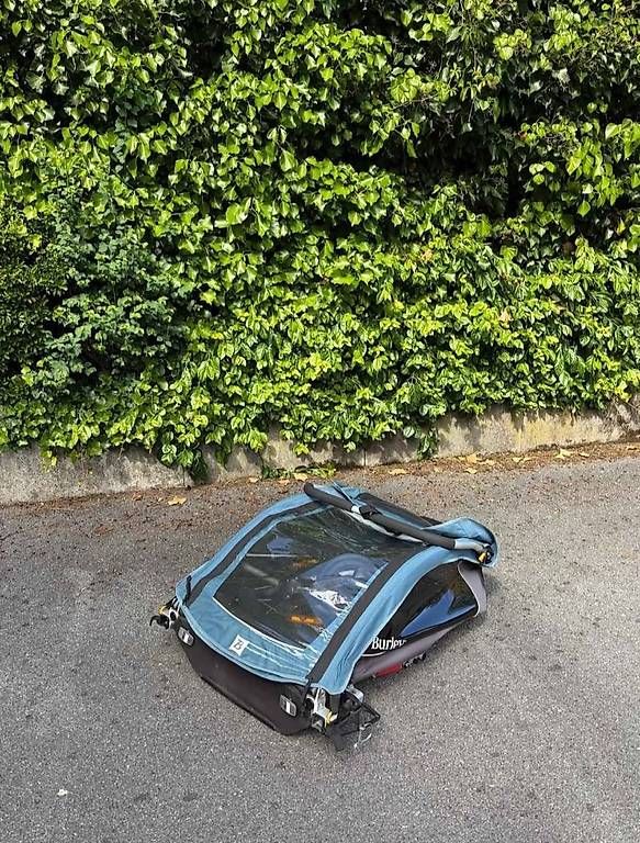 Anhänger: Remorque vélo Burley Encore X – Gebraucht aus Lausanne von tontkd 3