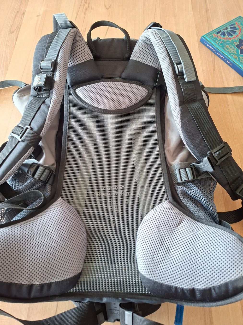 Zaini: (Wander)-Rucksack von Deuter – Usato da Zürich venduto da jacomina 1