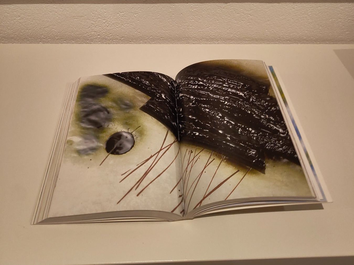 Libri: Stephan Leroux matiere chocolat – Usato da Birrhard venduto da Dave-C 3