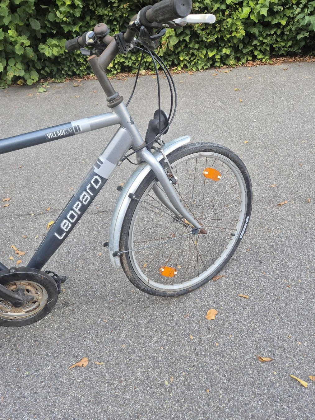 Leopard Vélos: Herren Velo Leopard Defekt  – Défectueux à Lyss par tgl_lyl8 2
