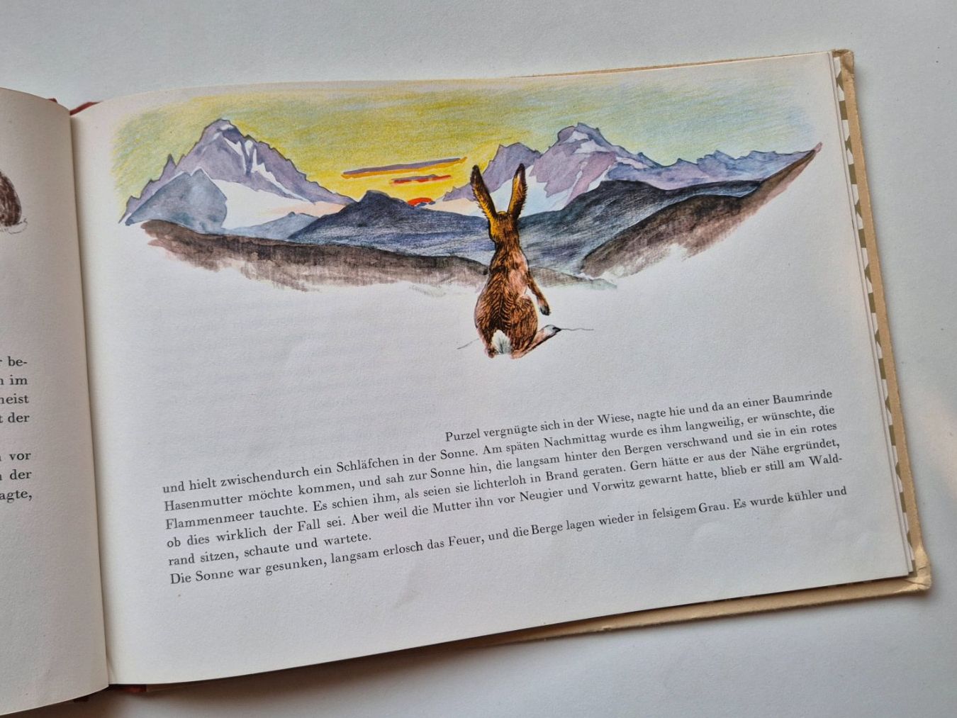 Libri: PURZEL - Eine Hasengeschichte  🐇  1953 – Usato da Niederweningen venduto da Obson 4