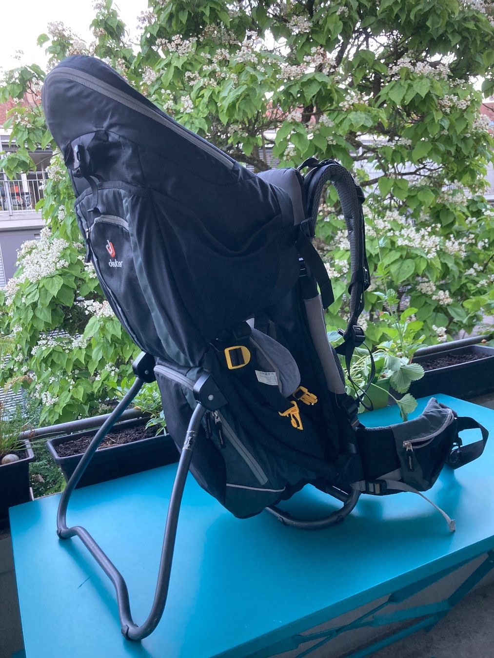 Deuter Marsupi portabebè: Deuter Kid Comfort 3 Kindertrage – Usato da Bern venduto da ghostdog01 1