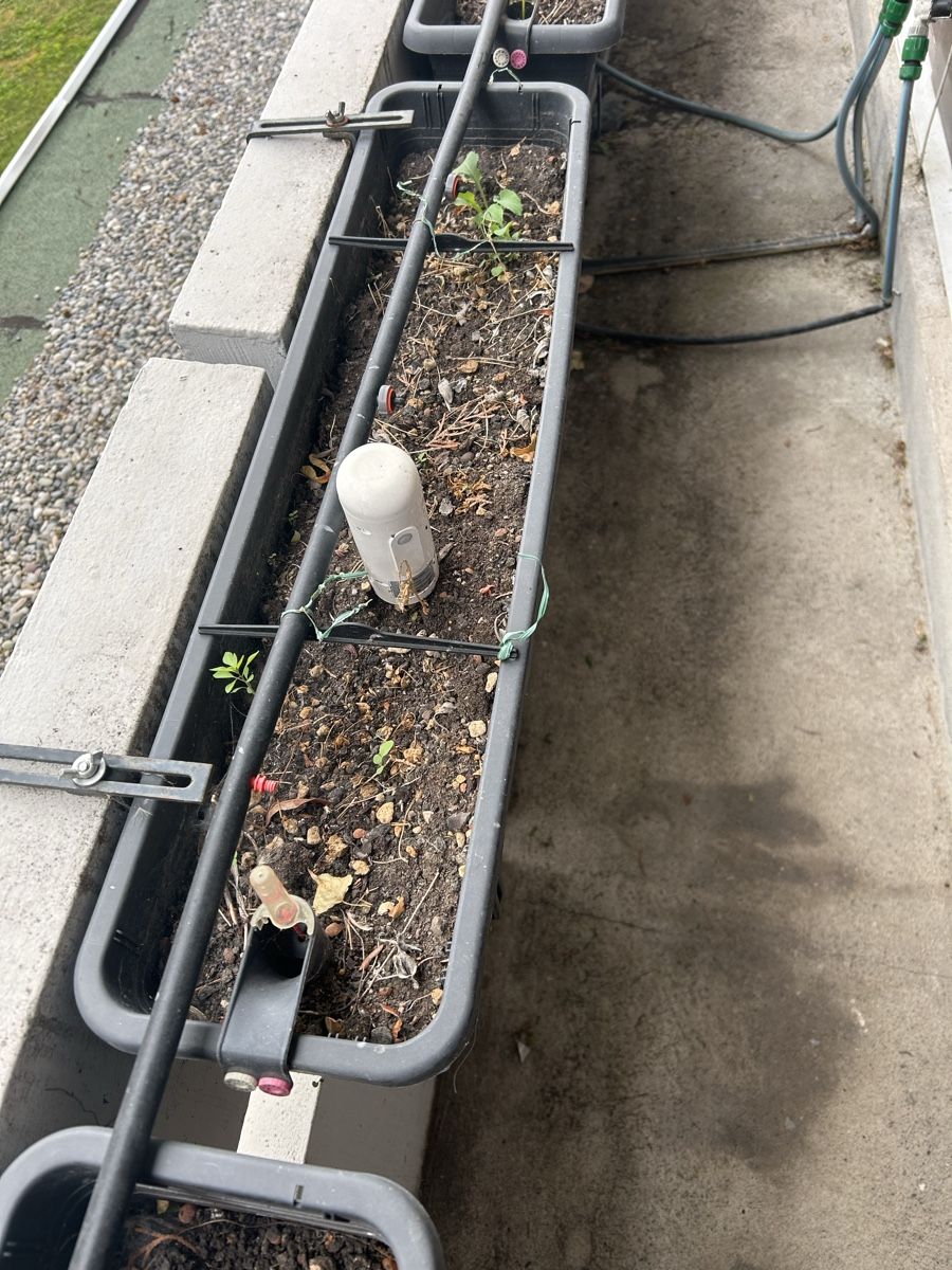 Vasi per fiori: 3 Blumentöpfe – Difettoso da Luzern venduto da giv_tmj8 1