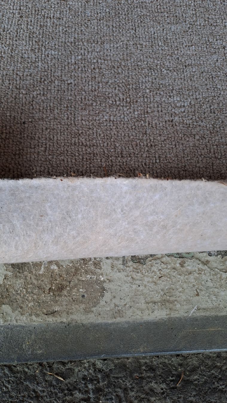 Tappeti: Teppichboden hellgrau ca. 20qm in gutem Zustand  – Usato da Bergdietikon venduto da ele_kwb9 2