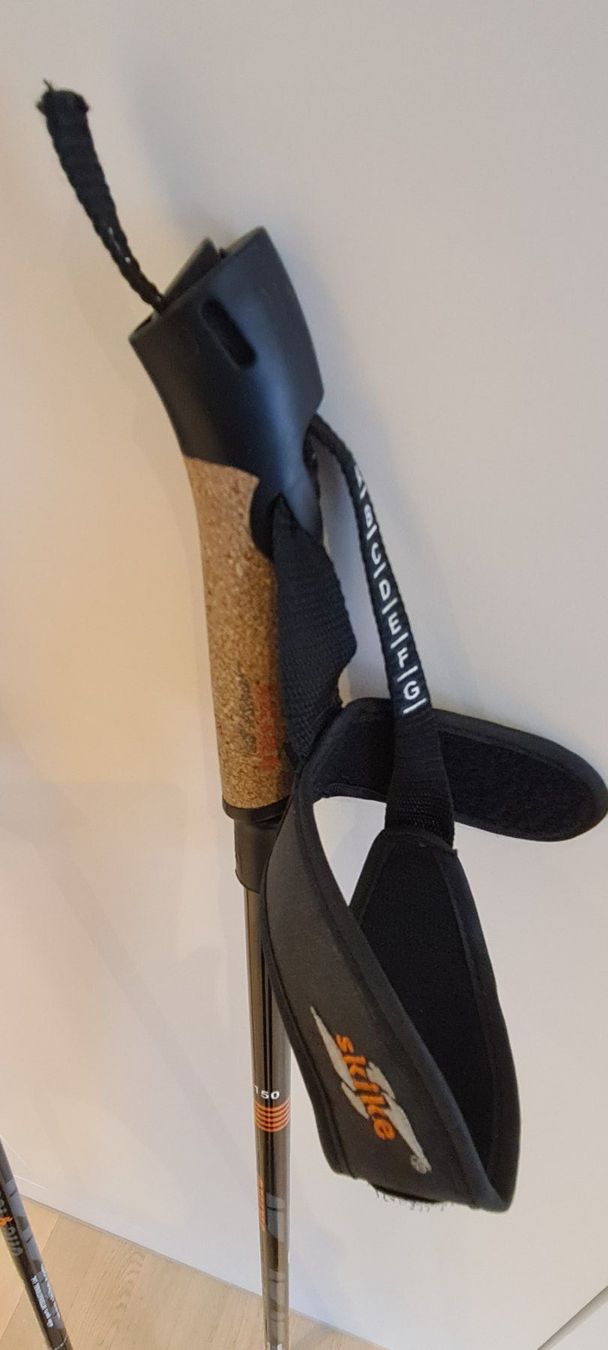 Altri accessori: Skiroller Stöcke – Usato da Islikon venduto da EFH651 1