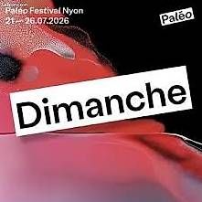 Tickets: Paleo billets mardi mercredi et dimanche  – Gebraucht aus Territet von Domiswiss