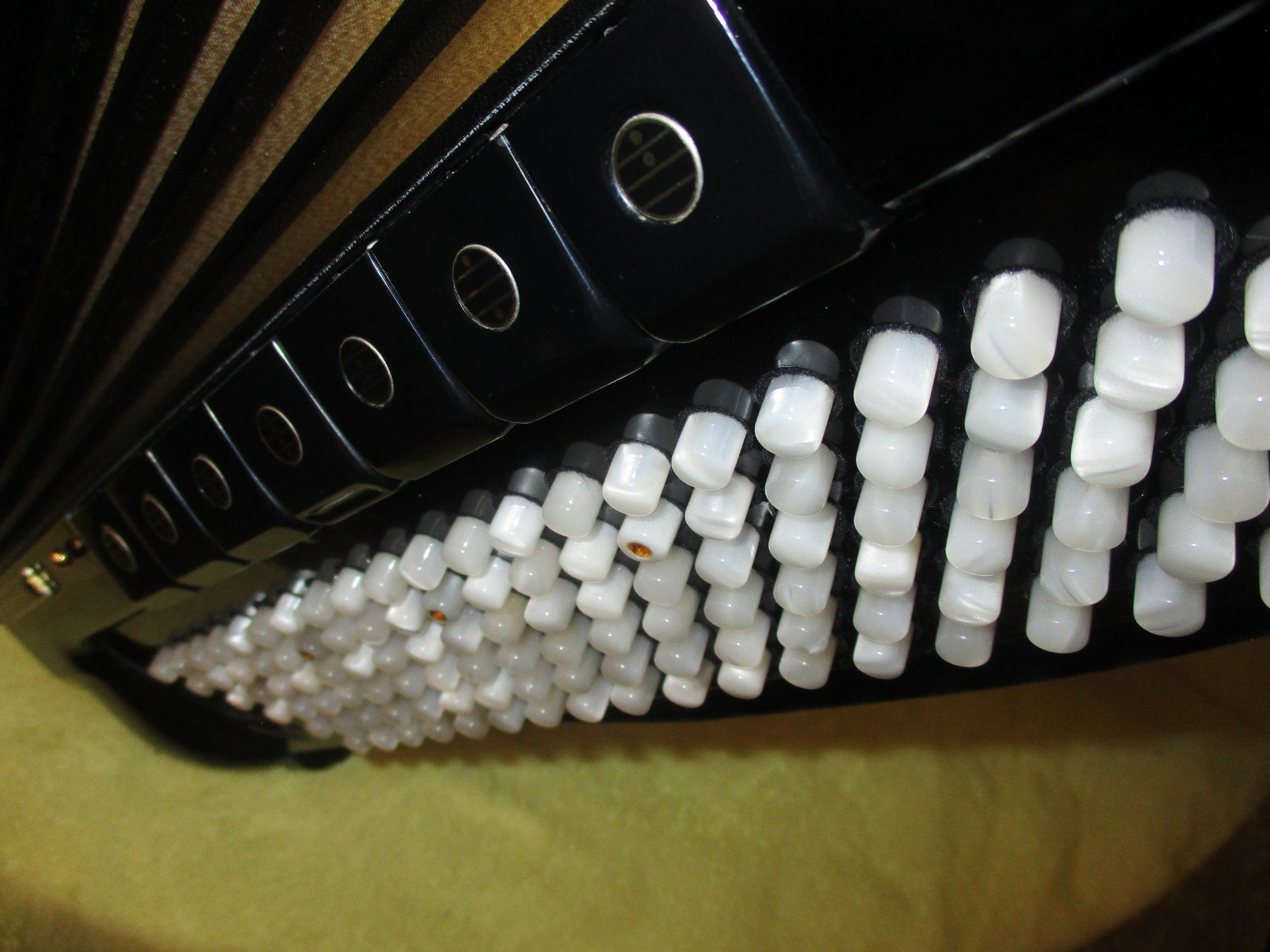 Musikinstrumente: Akkordeon Bugari Gold plus – Gebraucht aus Jegenstorf von Oktavio 9