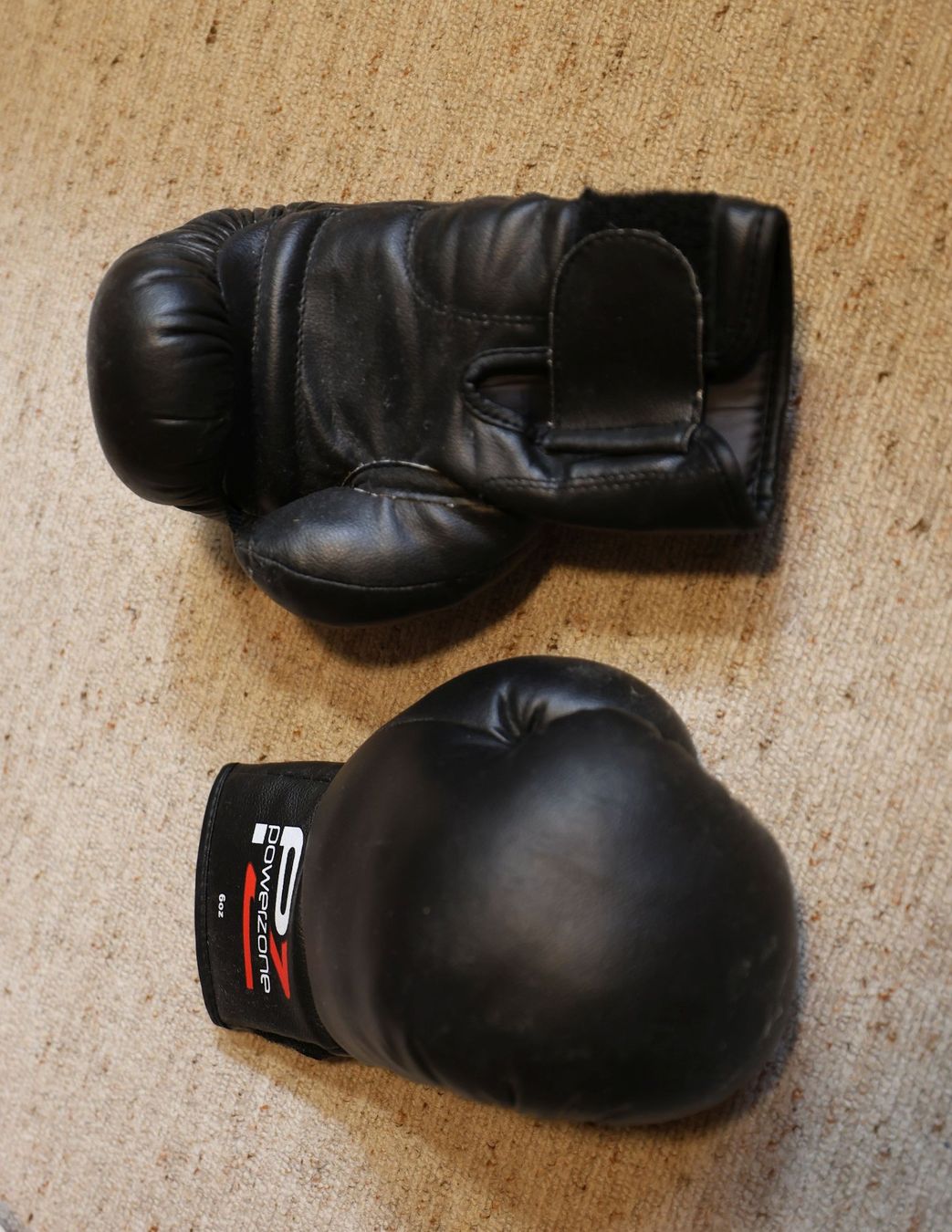 Boxsäcke: Boxsack 25kg, inkl. 3x Boxhandschuhe – Gebraucht aus Egnach von hb_b 3