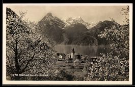 AK Sisikon, Urirotstock im Frühling