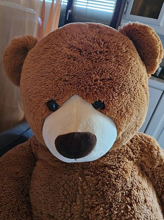 Giocattoli: Plüschbär  – Usato da Merzligen venduto da rch_lh29 1