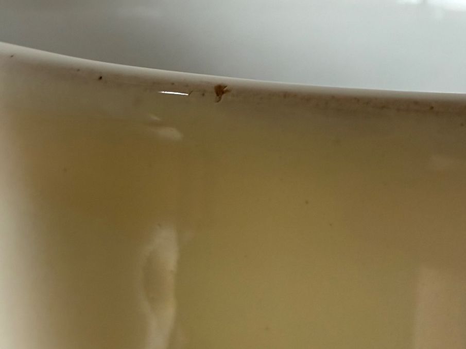 Vasi & Recipienti: Pottelotte oder Bubikopfvase, Strehla GDR – Usato da Luzern venduto da Mamutpe 3