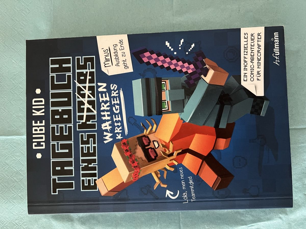 Bücher: Minecraft Tagebuch Comic-Abenteuer, Cube Kid Roman.253 Seite – Gebraucht aus Basel von veralt