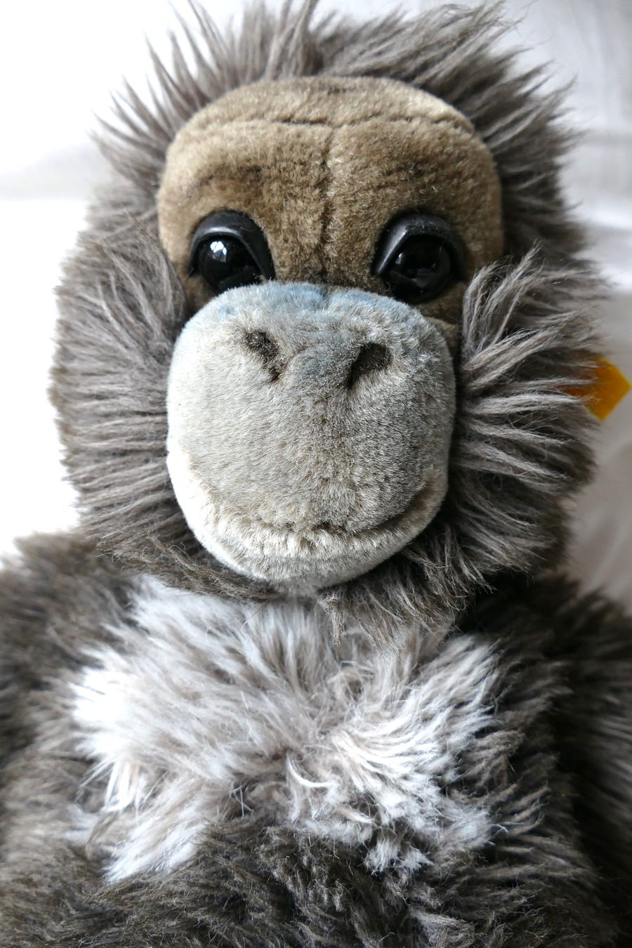 Statuette: Steiff Affe GORILLA  54 cm – Usato da Ennenda venduto da maro09 3