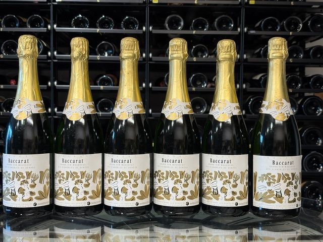 Bevande alcoliche: 24 div. Schaumweine – Nuovo e nell'imballaggio originale da Muri AG venduto da winklerweine 1