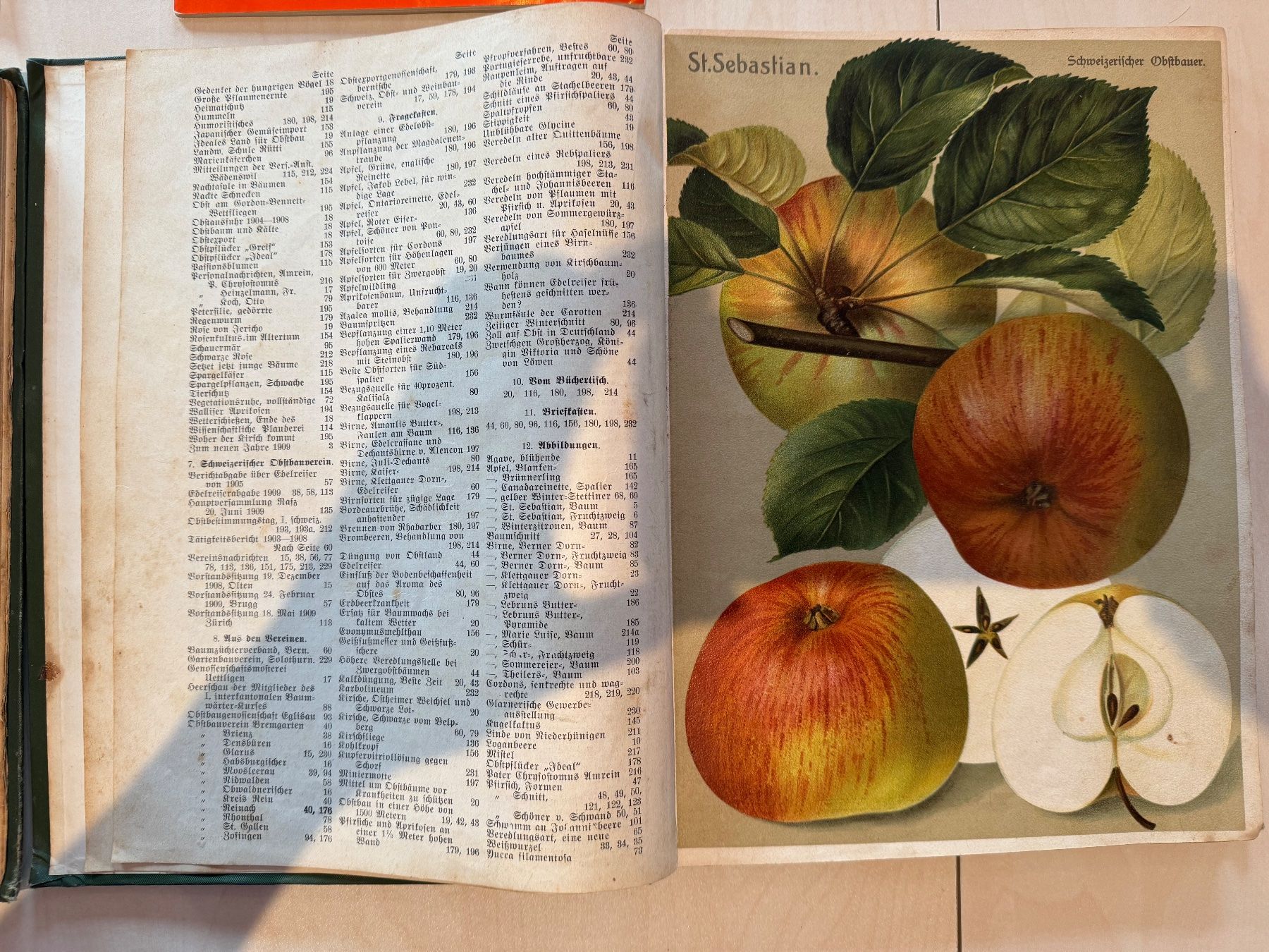 Libri: Der Schweizerische Obstbauer Jahrgänge 1908 und 1909. – Usato da Untervaz venduto da maj_m5xn 2