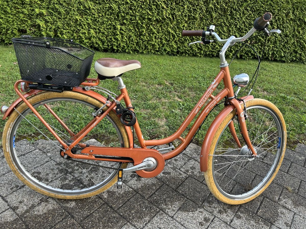 Vélos: Damenvelo Pegasus – D'occasion à Buochs par tam_6lms 3