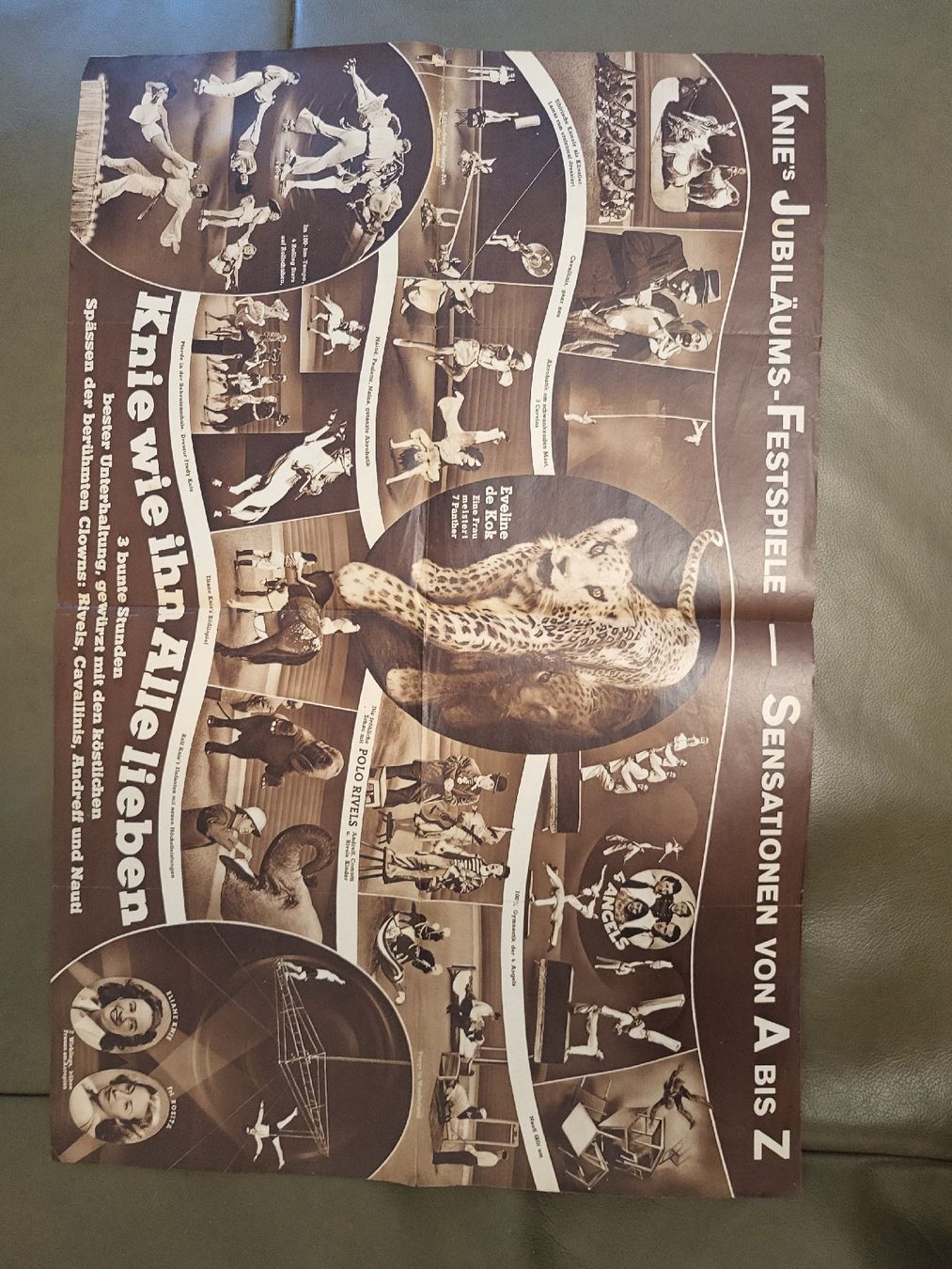 Riviste & Magazine: Programm Circus Knie Jubilaeum 1943 gebraucht – Usato da nunningen venduto da mic_88k2 2