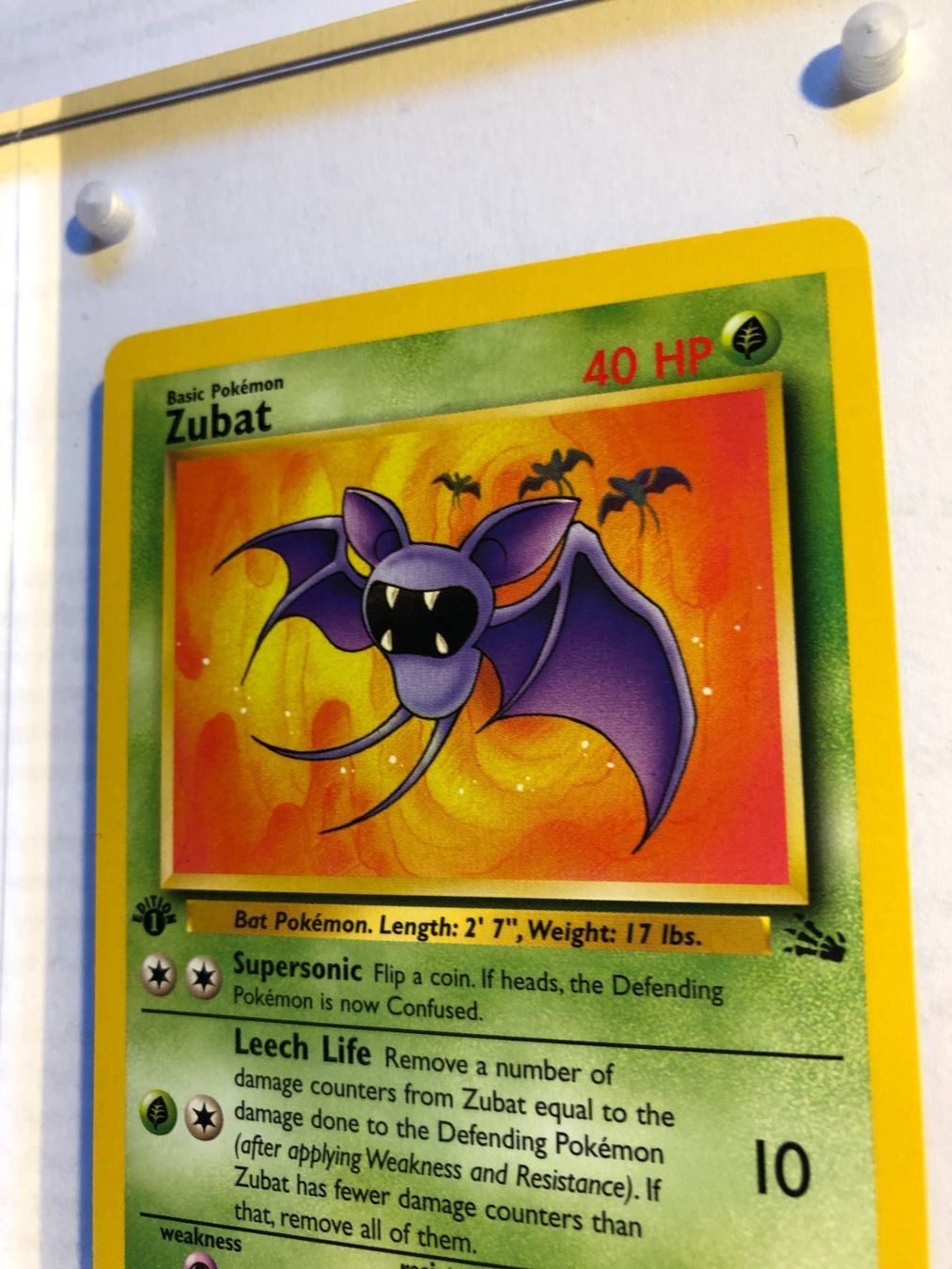 Carte collezionabili: Zubat 1st Fossil - MINT - ab 1.- – Usato da Giubiasco venduto da dan_pr8b 3