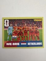 Panini NED 13