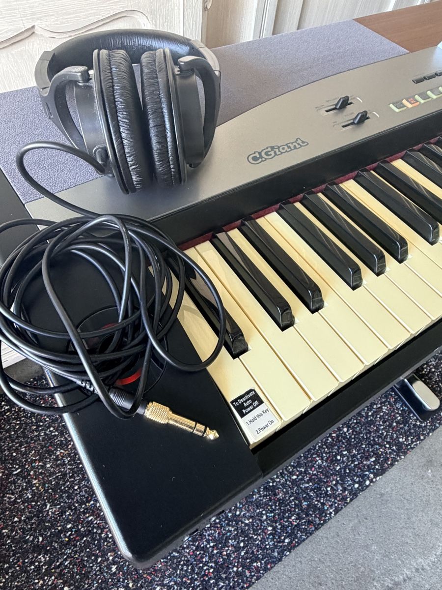 Strumenti musicali: E Piano Stage Piano SP 5100 – Usato da Weisslingen venduto da Ripcurl78 3