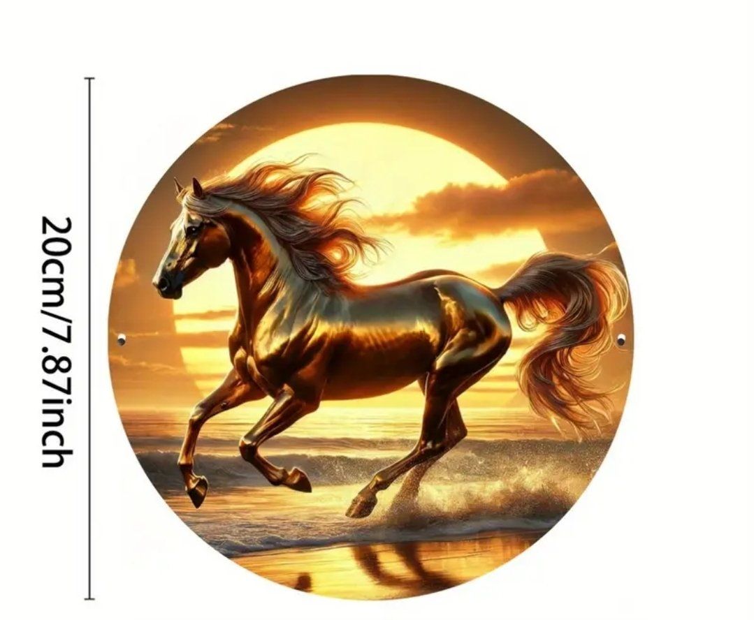 Insegne: Metallschild Pferd Rund 20cm Durchmesser – Nuovo e nell'imballaggio originale da Walenstadt venduto da emynmuil1 2