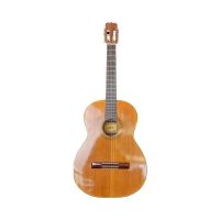 ARIA Akkustik Gitarre | A 550