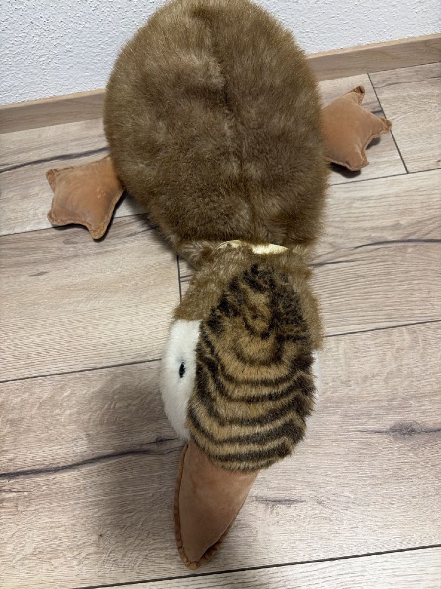 Jouets: Stofftier Schnabeltier braun weiss – D'occasion à Maienfeld par Jasmin_laeser 1
