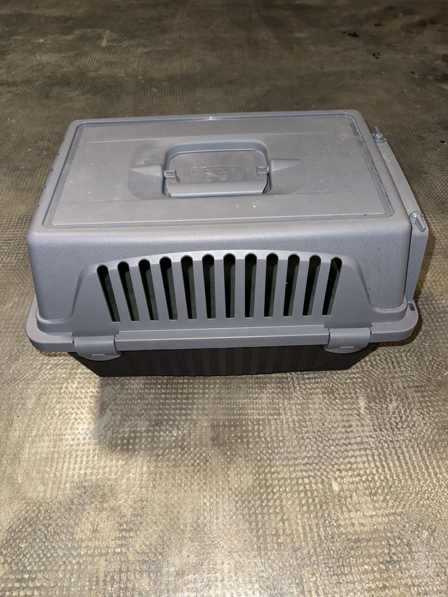 Gabbie, trasporto & Sicurezza: Katzen box – Nuovo (secondo la descrizione) da Muttenz venduto da akb_dys7 4