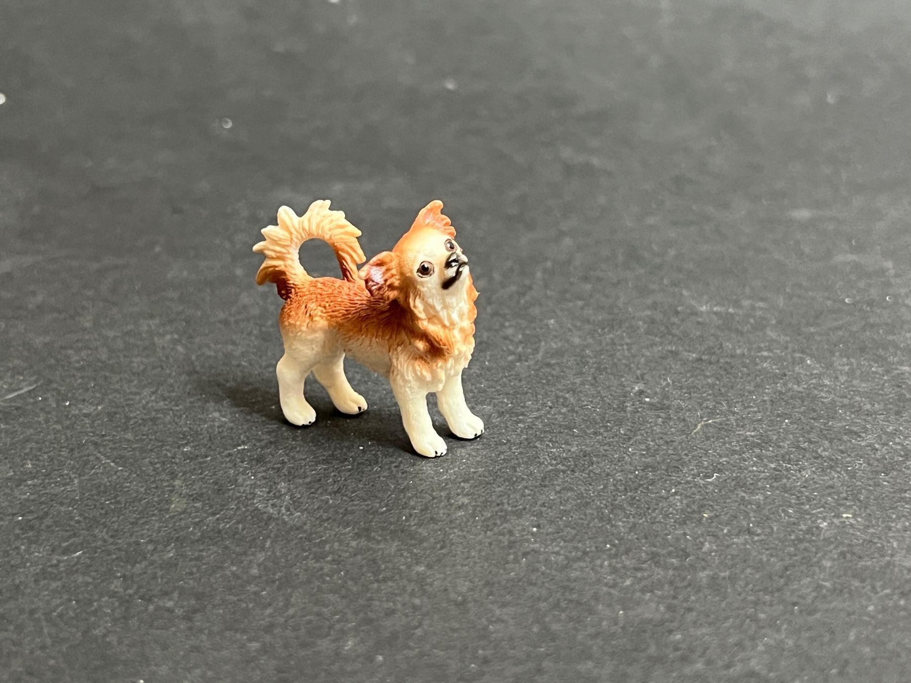 Schleich Statuette: Schleich Chihuahua Hund – Usato da Ennetbaden venduto da mapa05 1