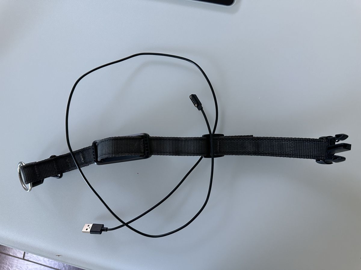 Altro in Accessori per animali: Weenect XT Tracker mit Halsband – Usato da Kappelen venduto da Canaille 1