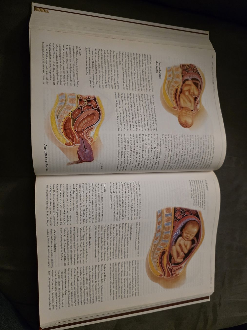 Libri: Anatomica 912 Seiten!!! – Usato da Dietlikon venduto da Audipower1981 5