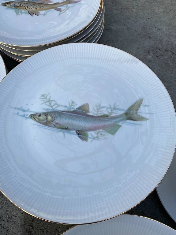 Geschirrsets: Fischservice von Winterling Bavaria  – Gebraucht aus Wil SG von nicetohave54 5