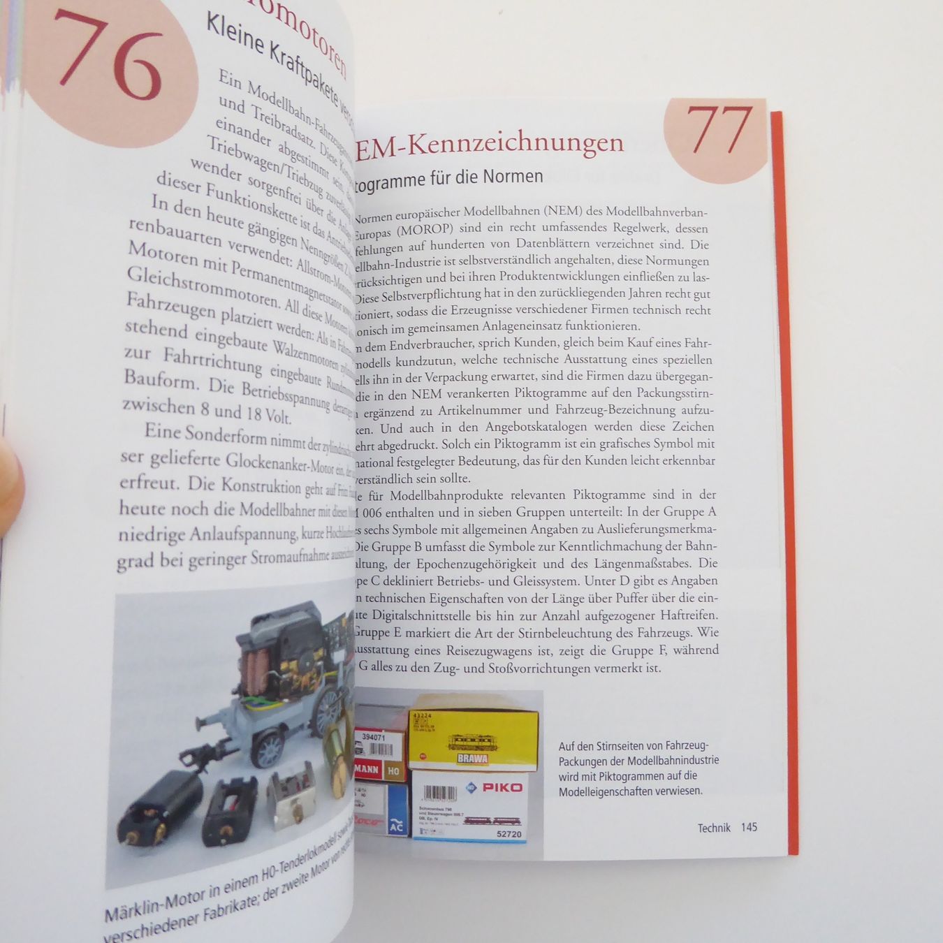 Libri: 101 Dinge die ein Modell-Eisenbahner wissen muss – Usato da Basel venduto da Kunterbunt12 3